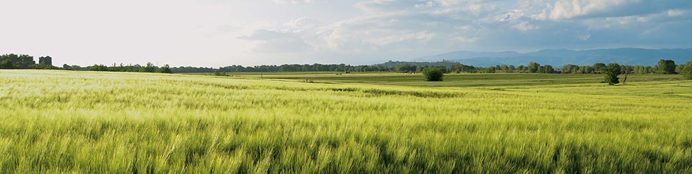 Servicios agropecuarios