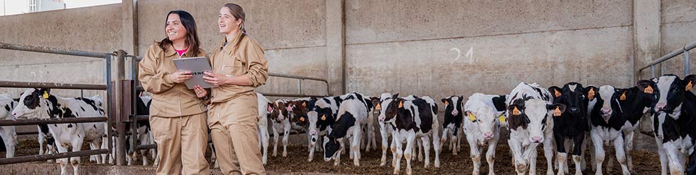 Servicios agropecuarios